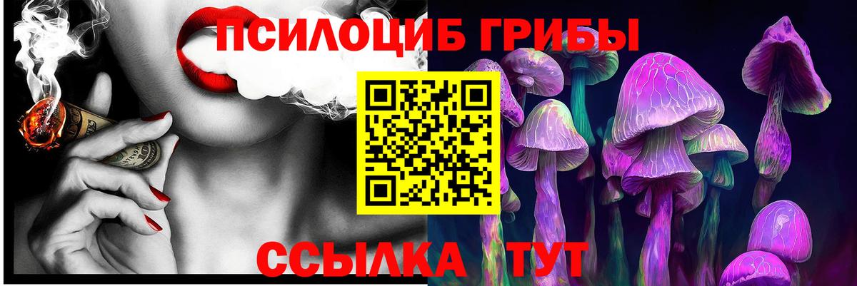 Псилоцибиновые грибы ЛСД Кудымкар