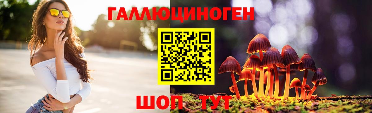 Кудымкар  купить   Вход с VPN  Псилоцибиновые грибы мицелий 