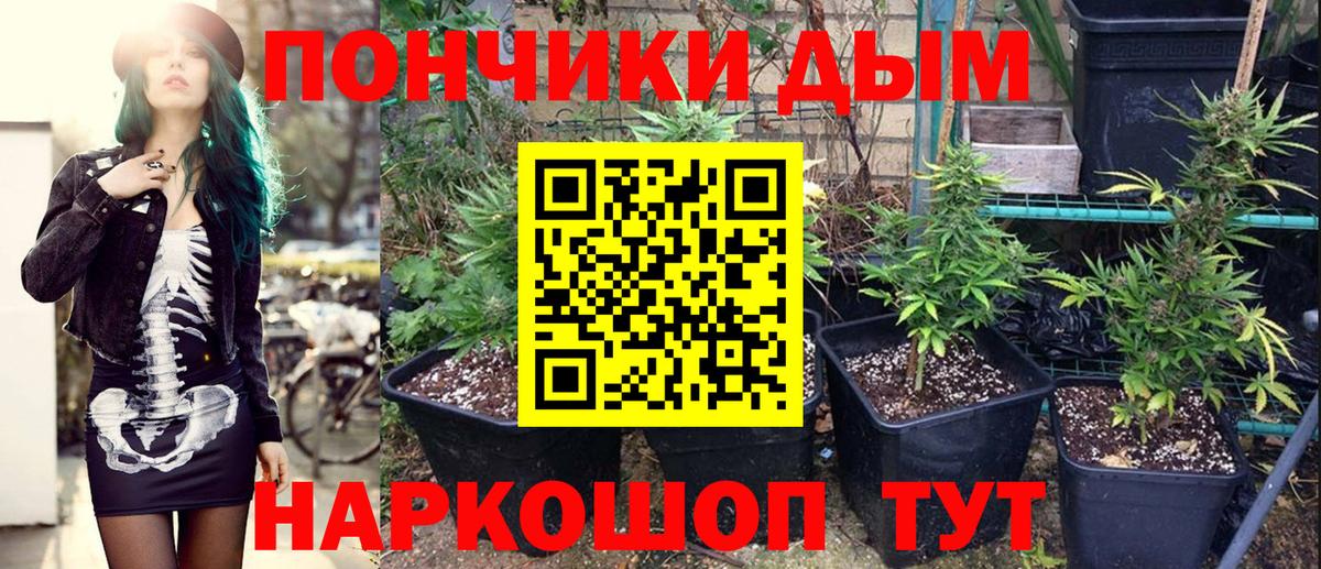 Конопля тримм  Шишки марихуана Bruce Banner  Кудымкар  МАРИХУАНА тримм  Вход с VPN 